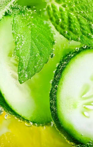 Pepino, yuzu y menta